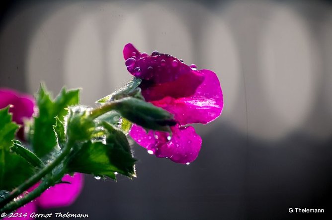 Wetterbild (Foto: Gernot Thelemann) Wetterbild (Foto: Gernot Thelemann)