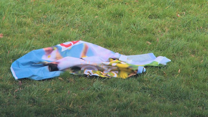 Sturmschäden (Foto: Peter Blei) Sturmschäden (Foto: Peter Blei)