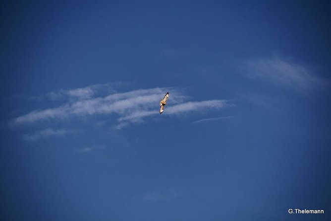 Wetter-Bild (Foto: Gernot Thelemann)