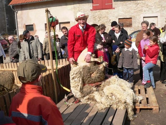 beinrode (Foto: beinrode) beinrode (Foto: beinrode)