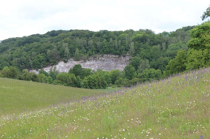 Exkursion in die R&uuml;digsdorfer Schweiz (Foto: Jessica Pieper)