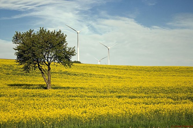 Wetterbild (Foto: Gernot Thelemann) Wetterbild (Foto: Gernot Thelemann)