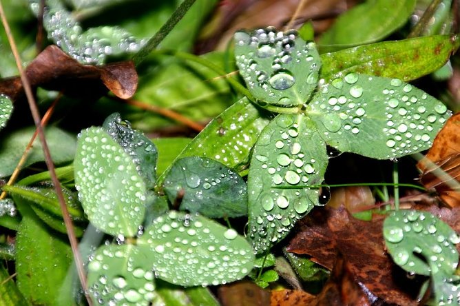Wetter-Bild (Foto: Gernot Thelemann) Wetter-Bild (Foto: Gernot Thelemann)