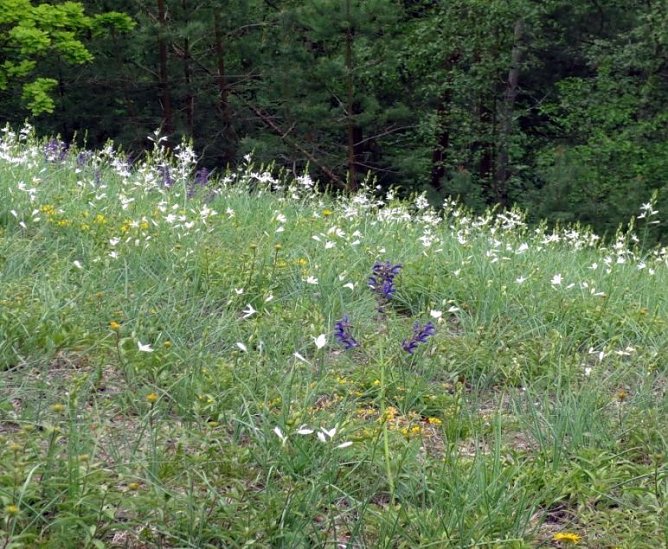 Gepflegt (Foto: privat)