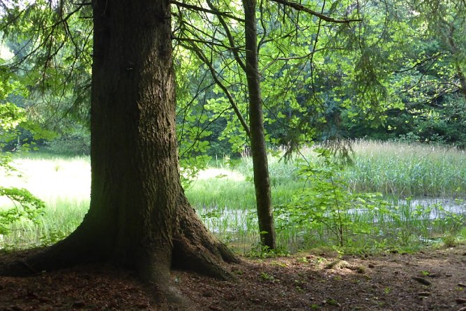 Zu den Diskursen wird es auch die Lyriklesung "Grüner Junipfad" geben (Foto: Heidelore Kneffel) Zu den Diskursen wird es auch die Lyriklesung "Grüner Junipfad" geben (Foto: Heidelore Kneffel)