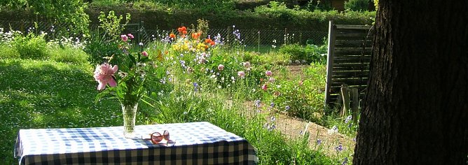 Wieder "unter dem Spaten" - wie hoch sind die Leerst&auml;nde in den Gartenanlagen Nordhausens? &Uuml;ber dies und mehr sprach Kurt Frank mit Marlies Biel (Foto: Ilona Glashagel)