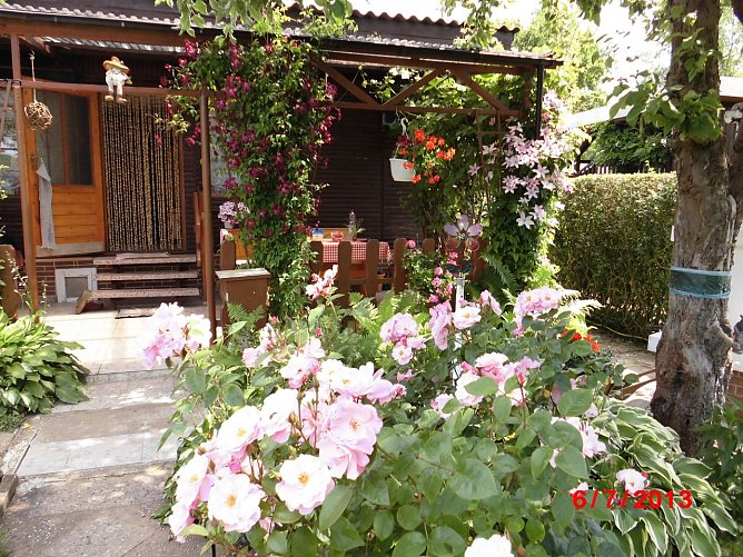 Idylle Kleingarten (Foto: Werner Schumann)