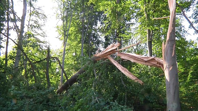 In den Morgenstunden wurde im Landkreis Nordhausen mit den Aufr&auml;umarbeiten begonnen (Foto: Angelo Glashagel)
