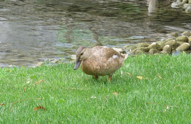Wetter-Bild (Foto: nnz)