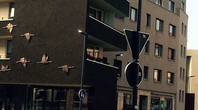 Leuchten auch am Tage? (Foto: privat)