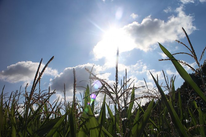 Wetterbild (Foto: Angelo Glashagel) Wetterbild (Foto: Angelo Glashagel)
