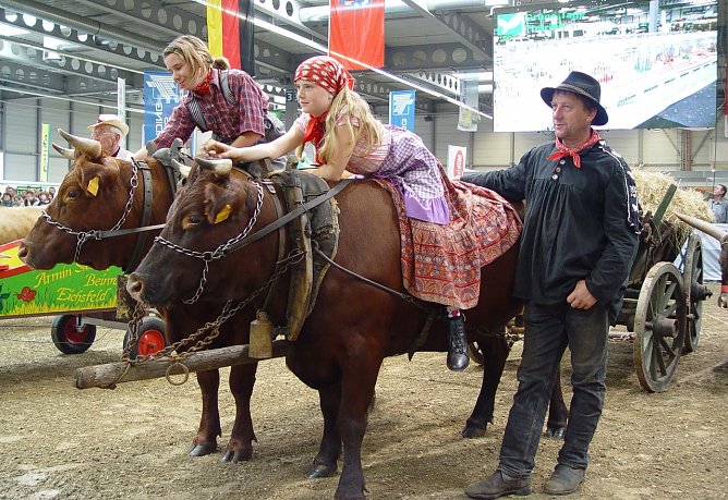 Archeschau f&uuml;r der Forstfarm (Foto: privat)