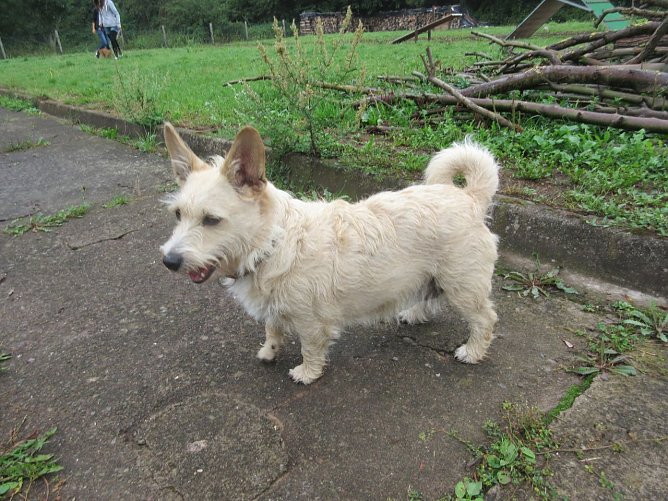 Tier der Woche: Lilly (Foto: Birgit Hellrung)