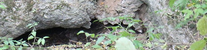 Tiefer Schlund - der Erdfall bei Buchholz (Foto: Angelo Glashagel) Tiefer Schlund - der Erdfall bei Buchholz (Foto: Angelo Glashagel)