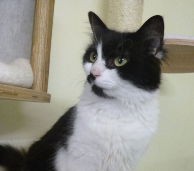 Tier der Woche: Orlanda (Foto: Birgit Hellrung) Tier der Woche: Orlanda (Foto: Birgit Hellrung)