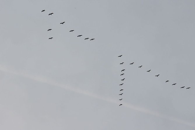 Wetterbild (Foto: Angelo Glashagel)