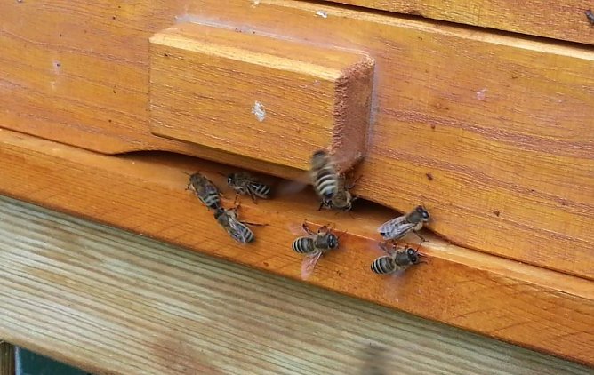 Flei&szlig;ige Arbeiter (Foto: T. Soszynski)