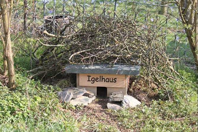 Auch Igel und Co. k&ouml;nnen es sich im Garten gem&uuml;tlich machen (Foto: Marlis Biel / Werner Schumann)