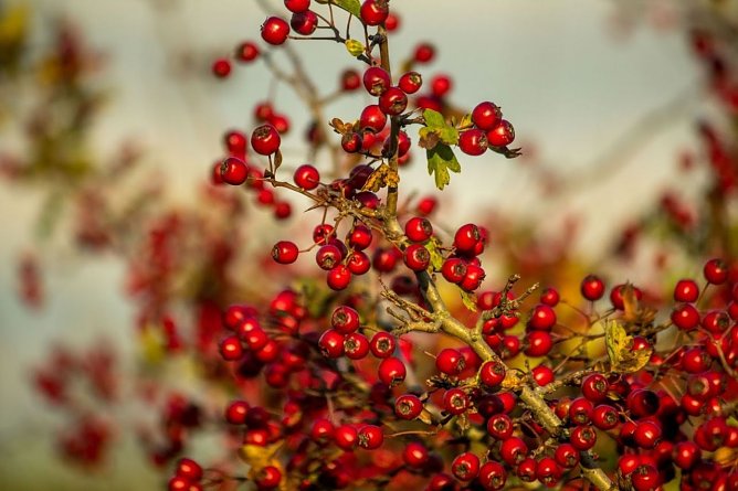 Wetterbild (Foto: Gernot Thelemann) Wetterbild (Foto: Gernot Thelemann)