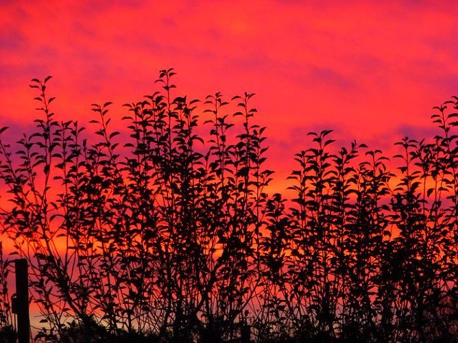 Sonnenuntergang im S&uuml;dharz (Foto: S. Hankel)