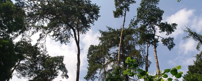 Wetter-Bild (Foto: Gernot Thelemann)