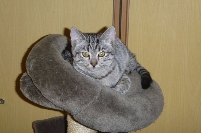 Tier der Woche: Beci (Foto: Birgit Hellrung)