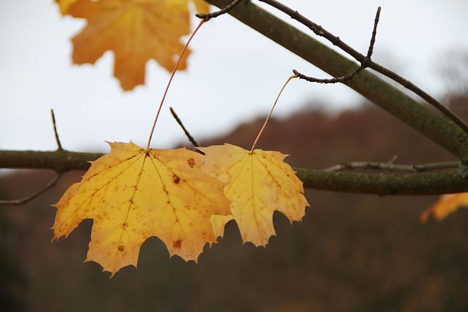 Wetterbild (Foto: Angelo Glashagel) Wetterbild (Foto: Angelo Glashagel)