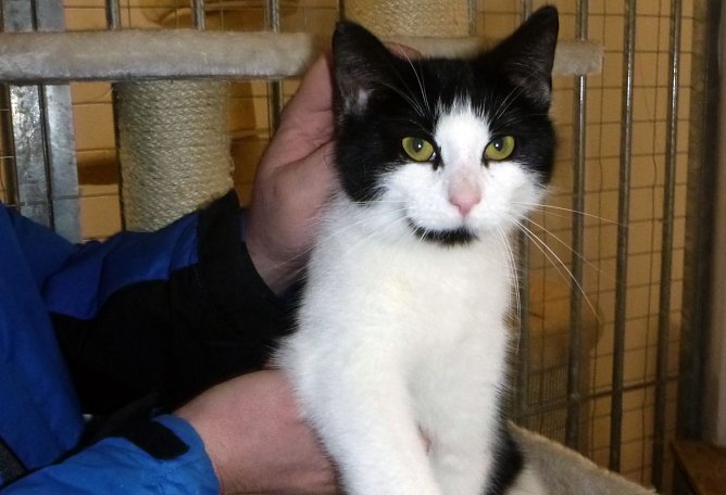 Edda (Foto: B. Hellrung)