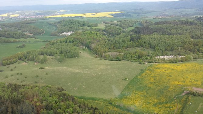 Landschaftsbild im S&uuml;dharz (Foto: Dr. Christian Marx)