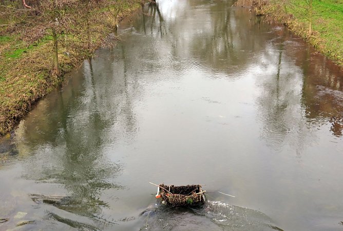Das Ding im Fluss (Foto: privat)