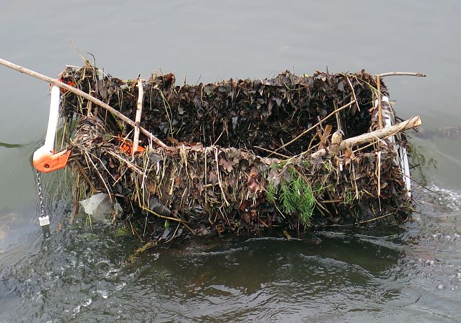 Das Ding im Fluss (Foto: privat)