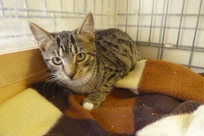 Tier der Woche: Tara (Foto: Birgit Hellrung) Tier der Woche: Tara (Foto: Birgit Hellrung)