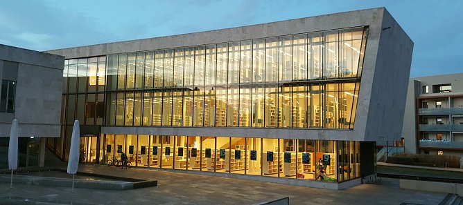 Das Suchbild des Tages (Foto: nnz)