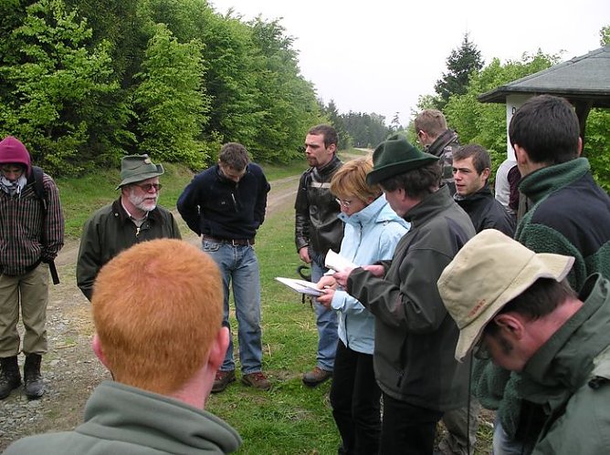 Franzosen im Wald (Foto: Forstamt) Franzosen im Wald (Foto: Forstamt)