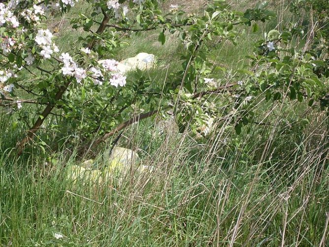Natur pru (Foto: H&auml;ger)
