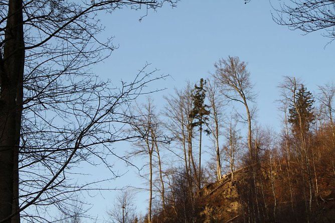 Warm wie noch nie  - der Dezember 2015 (Foto: Angelo Glashagel)