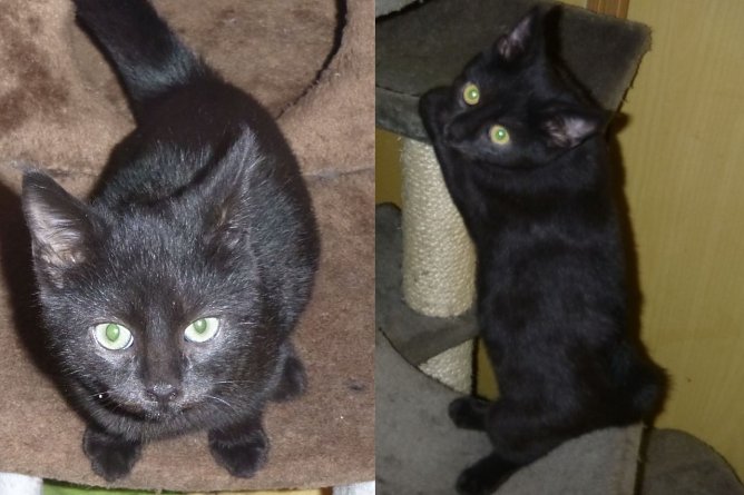 Tiere der Woche: Herta und Hannes (Foto: Birgit Hellrung) Tiere der Woche: Herta und Hannes (Foto: Birgit Hellrung)