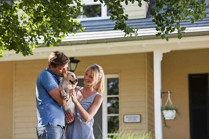 WLAN f&uuml;r den Hund? (Foto: Agentur)