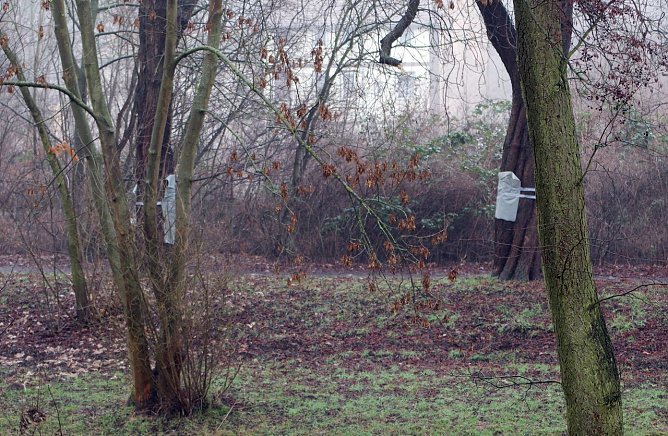 Verpackte Schmierereien (Foto: nnz)