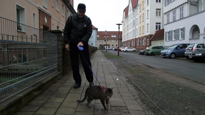 Felix und sein Herrchen beim Spaziergang (Foto: Kurt Frank)