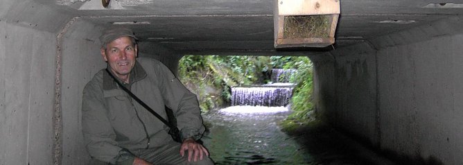 Herbert Buchholz bringt Nisthilfen f&uuml;r Wasseramseln unter Br&uuml;cken an Bach-und Flussl&auml;ufen an. (Foto: privat)