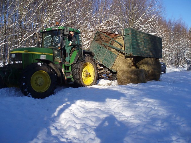 Anlieferung (Foto: Forstamt)