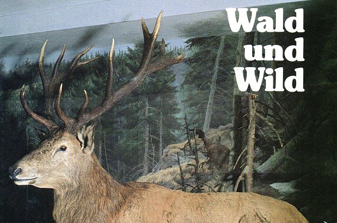 Unser Harz ist erschienen (Foto: privat)