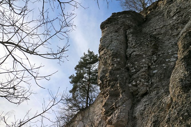 Gipskarstlandschaft bei Rüdigsdorf (Foto: Angelo Glashagel) Gipskarstlandschaft bei Rüdigsdorf (Foto: Angelo Glashagel)