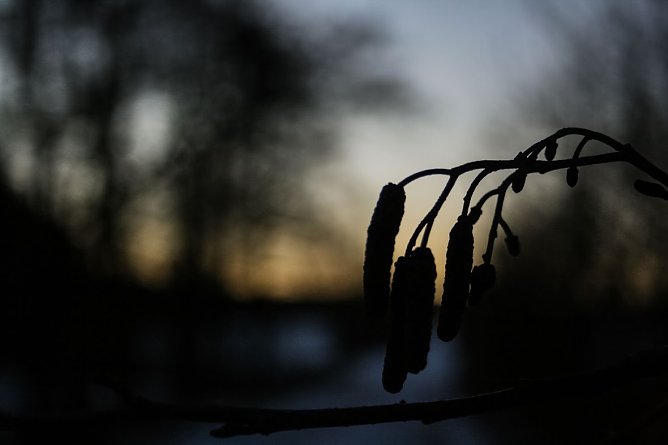 Wetterbild (Foto: Gernot Thelemann) Wetterbild (Foto: Gernot Thelemann)