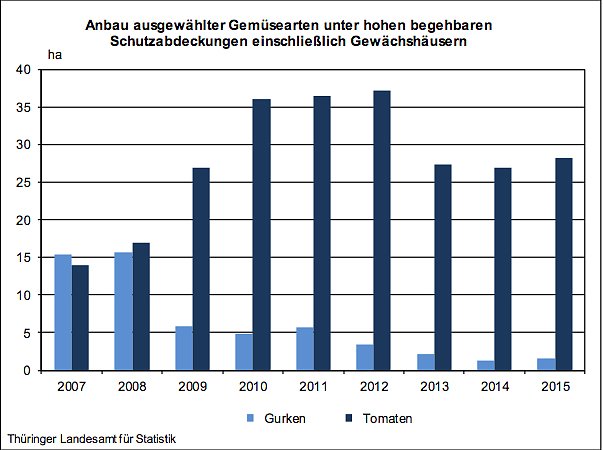 Anbau ausgewählter Gemüsearten in Thüringen (Foto: Thüringer Landesamt für Statistik) Anbau ausgewählter Gemüsearten in Thüringen (Foto: Thüringer Landesamt für Statistik)