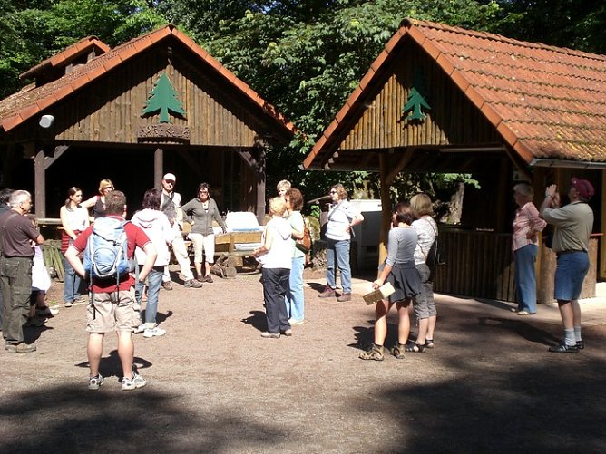 Kr&auml;uterwanderung (Foto: Urban)