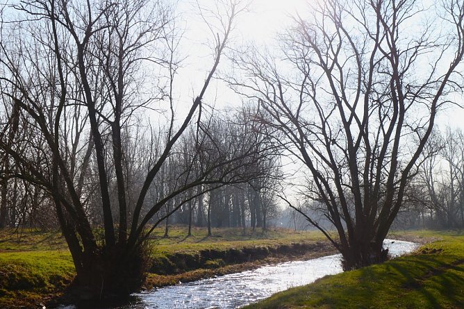 Wetterbild (Foto: Angelo Glashagel)