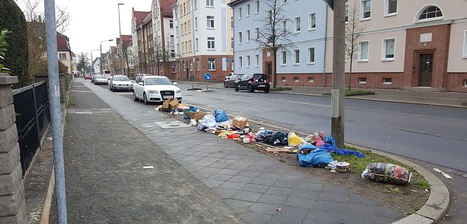 Abgekippt (Foto: privat)