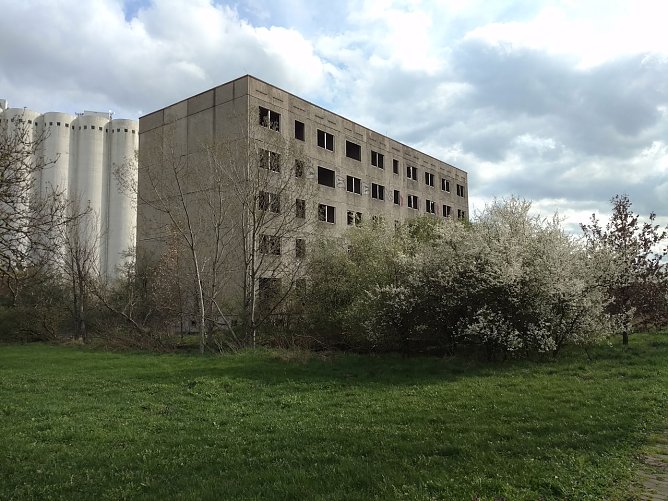Peter Blei unterwegs in der Südstraße (Foto: Peter Blei) Peter Blei unterwegs in der Südstraße (Foto: Peter Blei)
